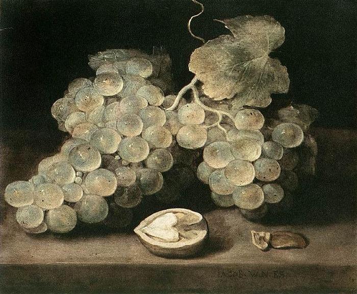 Jacob van Es Grape with Walnut Sweden oil painting art